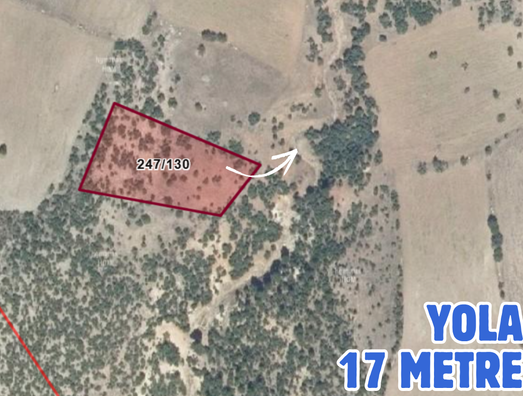 KÜTAHYA HİSARCIK KARABASAN(YENİDOĞAN) 2930 M² TARLA SATILIKTIR - KÜTAHYA HİSARCIK fotoğraf 3